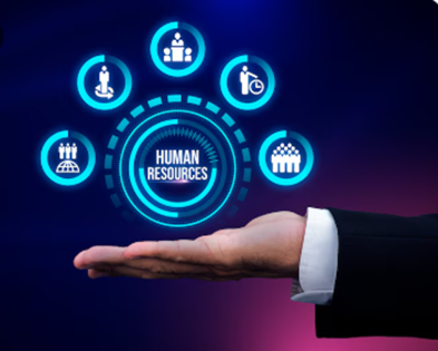 Human Resource Management System Software | MomDigital