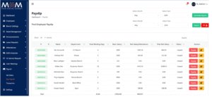 Multi-Country Payroll Challenges | Mom Digital